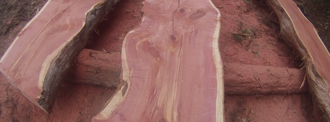 Milling - Custom Milled Lumber All Woods Tree